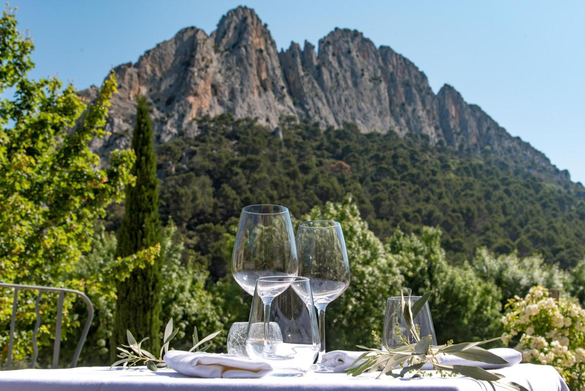 Hotel Domaine Saint Julien Buis-les-Baronnies Esterno foto